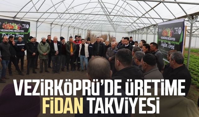 Vezirköprü’de üretime fidan takviyesi