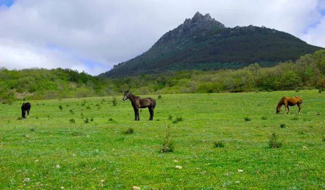 Terme’de Yayla ve Sahil Arasında Bir Gün