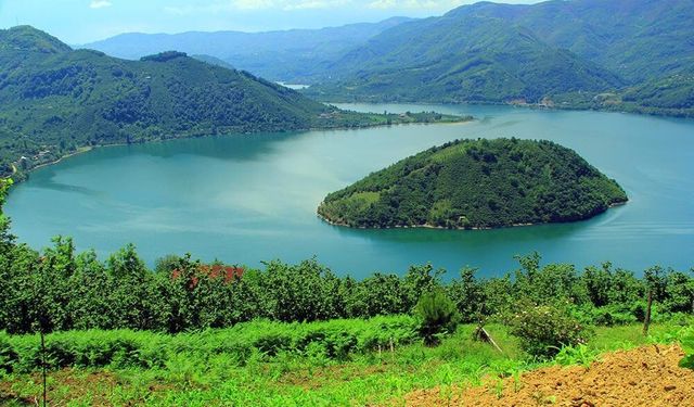 Ayvacık’ta Manzaralı Piknik ve Kamp Alanları