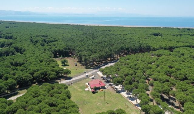 Çarşamba’da Yeşil Alanlar ve Doğa Kaçamakları