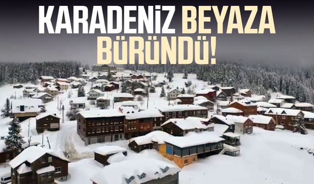 Giresun’da kar manzarası büyüledi! Yayla beyaza büründü