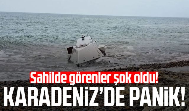 Karadeniz'de panik! Sahilde görenler şok oldu