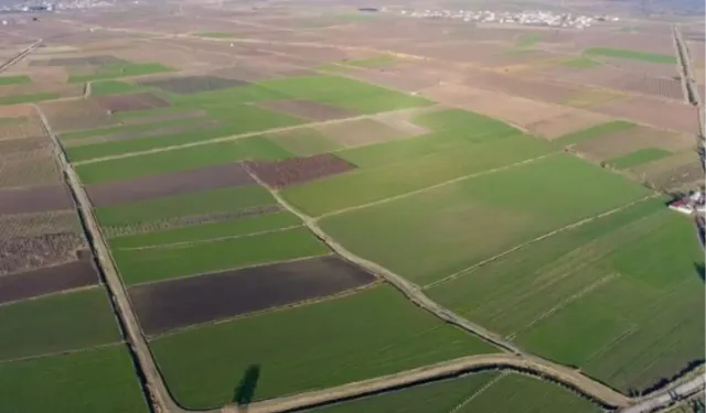 Bafra Ovası’nda Günlük Yaşamın Tarıma Etkisi