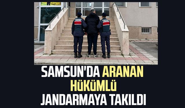 Samsun'da aranan hükümlü jandarmaya takıldı