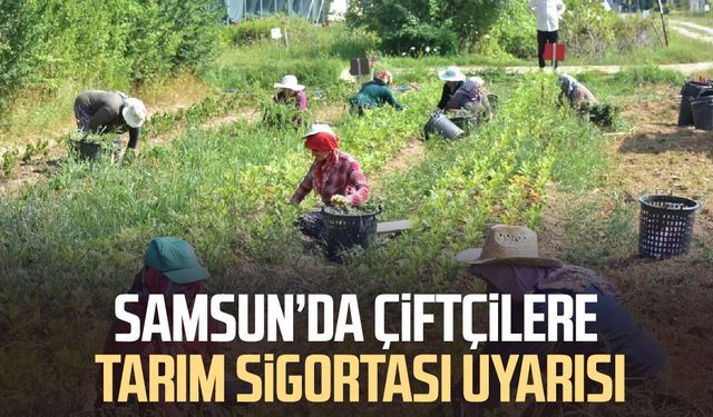 Samsun’da çiftçilere tarım sigortası uyarısı