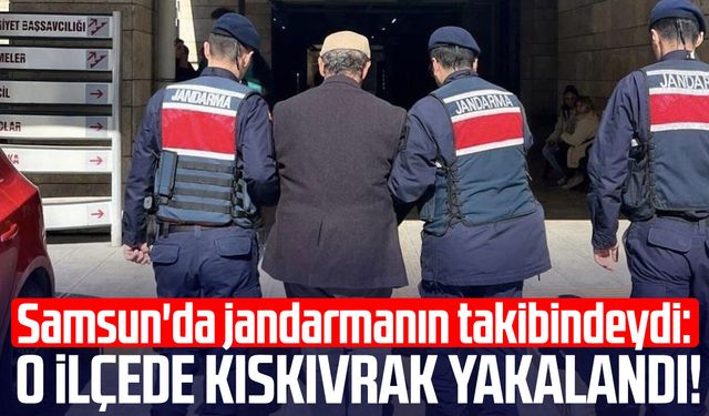 Samsun'da jandarmanın takibindeydi: O ilçede yakalandı!