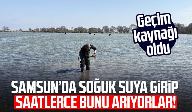Samsun’da soğuk suya girip saatlerce bunu arıyorlar! Geçim kaynağı oldu