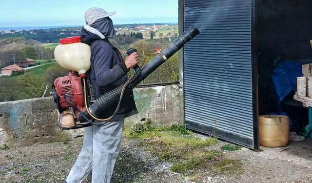 19 Mayıs’ta kokarca seferberliği! Mücadele sürüyor