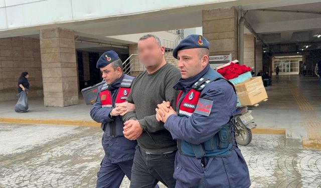 Samsun’da büyükbaş hayvan vurgunu! Karar belli oldu