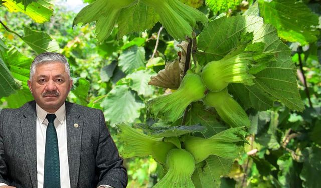 TZOB Yönetim Kurulu Üyesi Arslan Soydan'dan TMO'ya çağrı