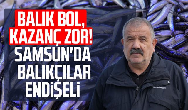 Balık bol, kazanç zor! Samsun'da balıkçılar endişeli