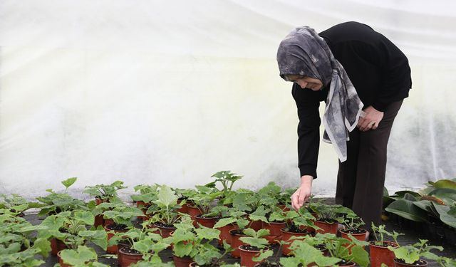 Hayallerini büyüttü! Samsun'da çiçeklerden servet kazandı