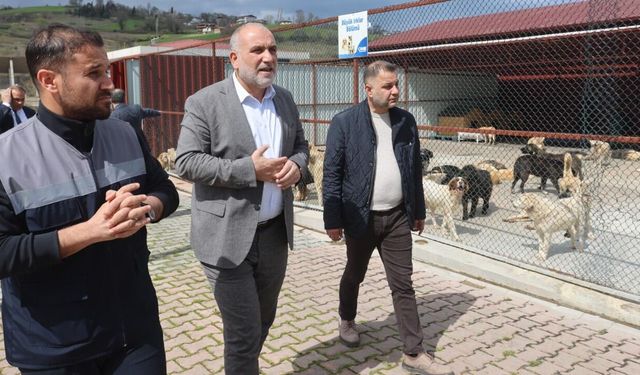 Canik'te can dostlar için örnek tesis! Başkan İbrahim Sandıkçı yerinde inceledi