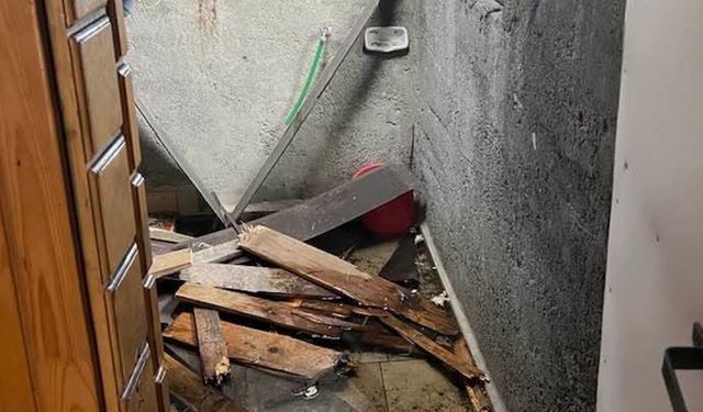 Kış uykusundan uyandılar! Karadeniz'de ayı paniği