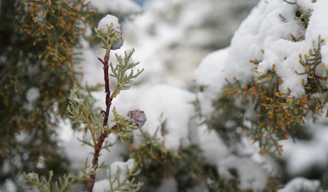 Samsun'da o tarihlerde tehlike büyük! Önemli uyarı