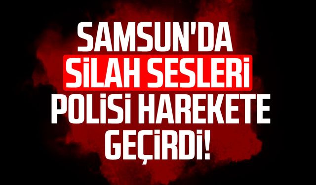 Samsun'da silah sesleri polisi harekete geçirdi!