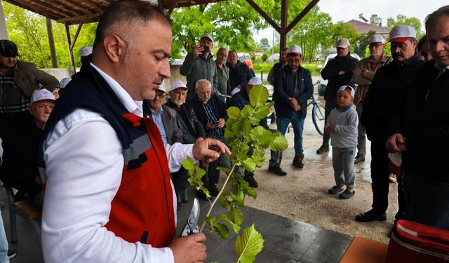 Terme’de meyve ağaçları ve fındıkta aşılama kursu tamamlandı