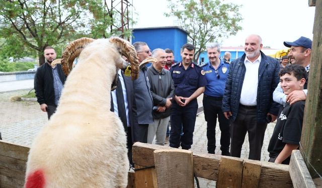 Canik Belediyesi Kurban Pazarı'na yoğun ilgi