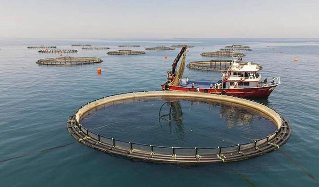Yakakent’te Deniz ve Balık Kültürü