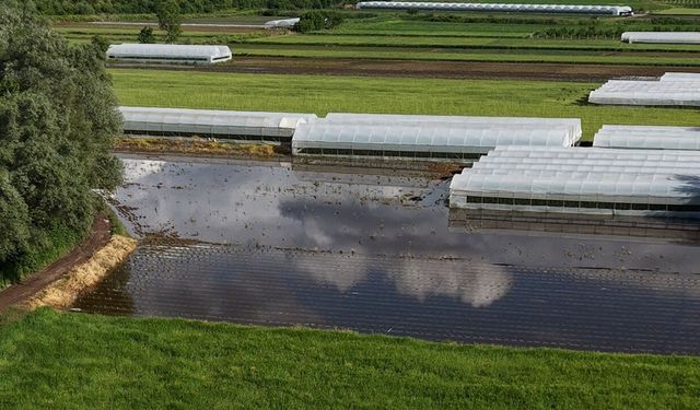 Karadeniz'de yağış sonrası seralar sular altında kaldı!