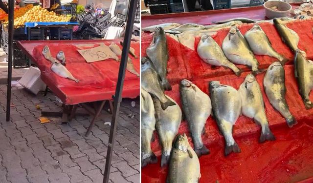 Kilosu 50 TL'ye satılıyor! Gıda mühendisi uyardı: "Sakın almayın"