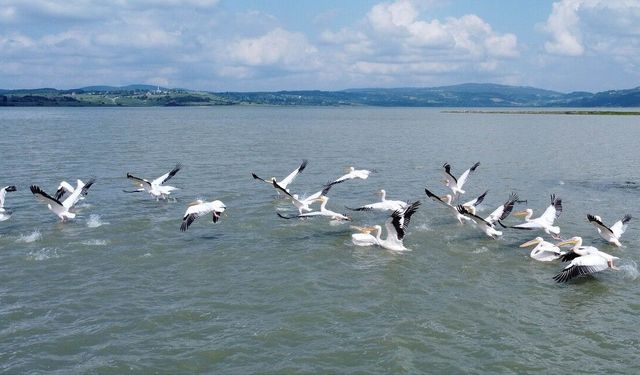 Ladik’te Doğa ve Kış Turizmi Rehberi