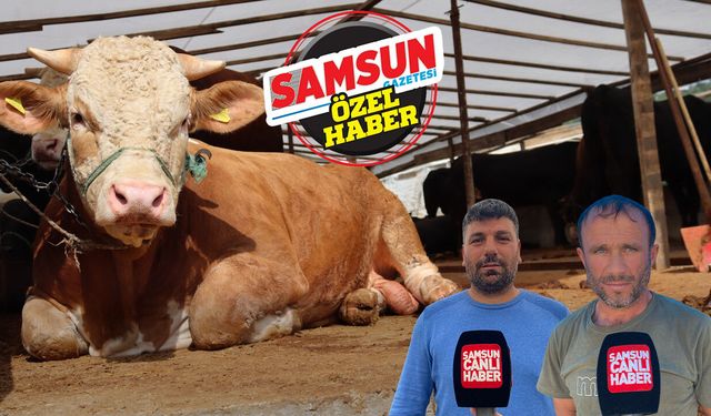 Samsun'da besicilerden vatandaşlara kritik kurbanlık uyarısı!
