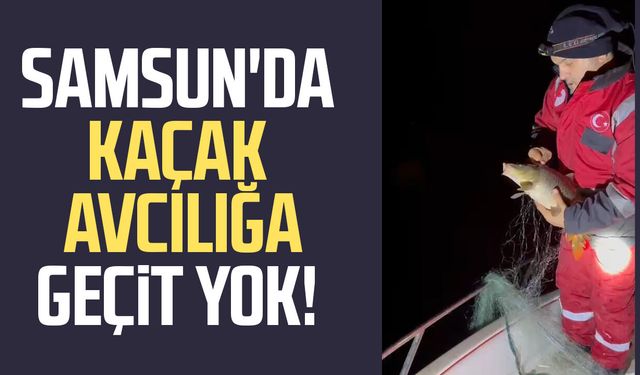 Samsun'da kaçak avcılığa geçit yok! 2 bin metre ağ ele geçirildi