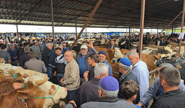 Samsun’da kurban pazarında hareketlilik