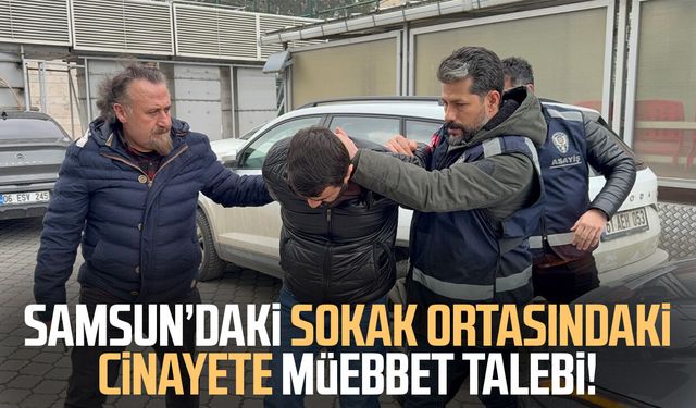 Samsun’daki Mesut İnan cinayet davasında müebbet talebi!
