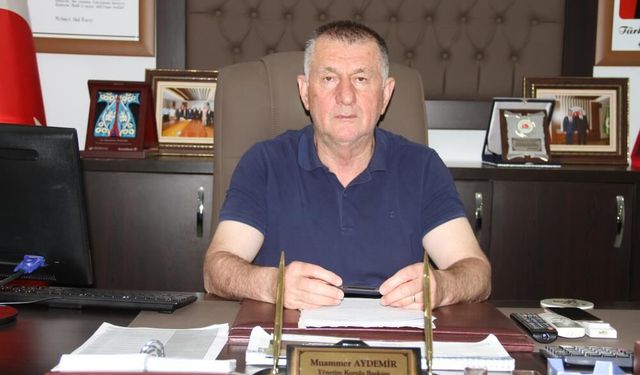 Samsun'da fındık için kritik eşik! Gözler TMO'da