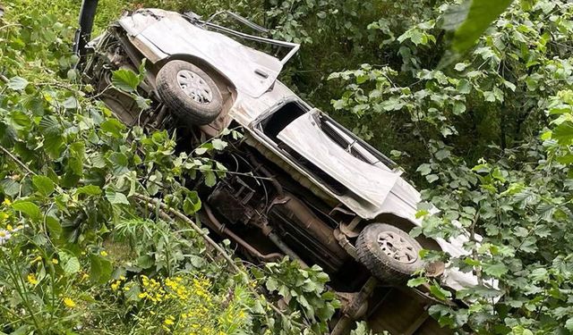Giresun'da kamyonet şarampole yuvarlandı: Acı son