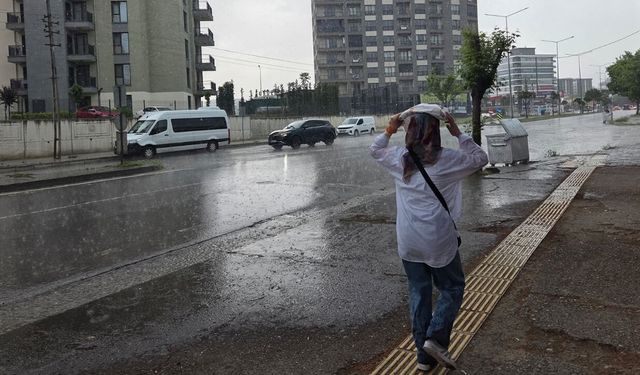 Karadeniz'de 66 yıllık rekor! Samsun dikkat çekti