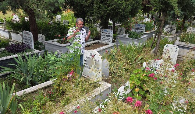 Samsun'da kiracısına ulaşamayınca çareyi mezarlıkta buldu