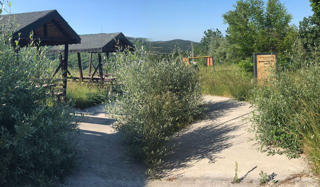 Samsun'da Şehitlik Anı Evi için bakım çağrısı: Defalarca talepte bulunduk