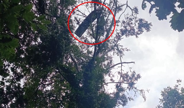 Samsun'da şüpheli İHA ihbarı! Ekipler harekete geçti