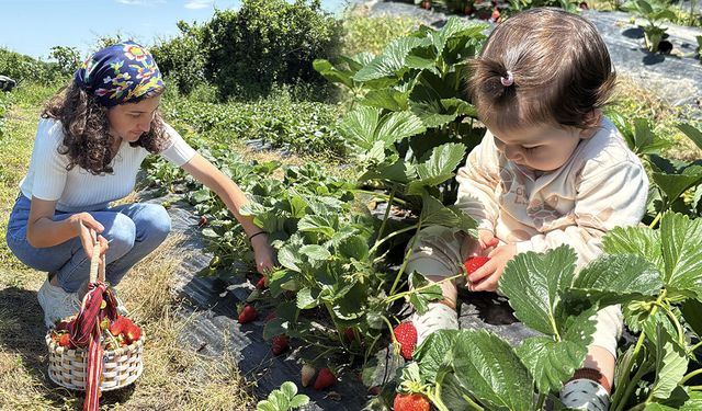 Samsun'da genç kadının kararı hayatını değiştirdi
