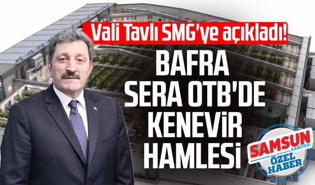 Vali Tavlı SMG'ye açıkladı! Bafra Sera OTB'de kenevir hamlesi
