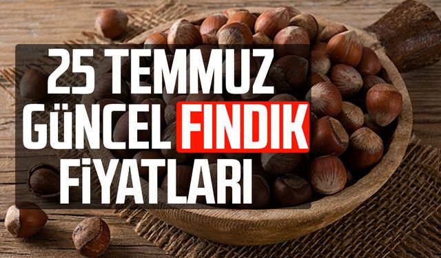 25 Temmuz 2026 güncel fındık fiyatları