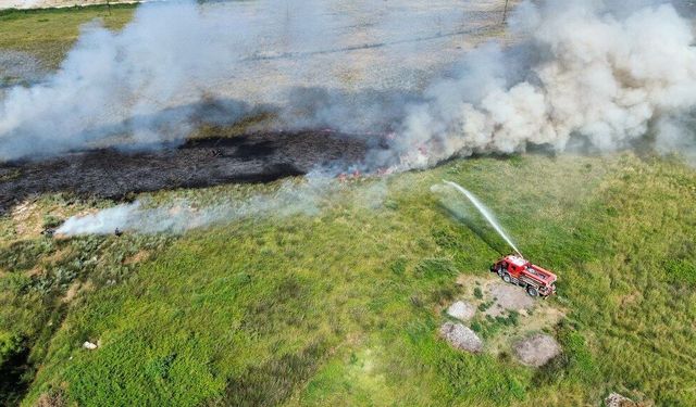 Samsun'da alevler sazlığı sardı! 20 dönüm zarar gördü