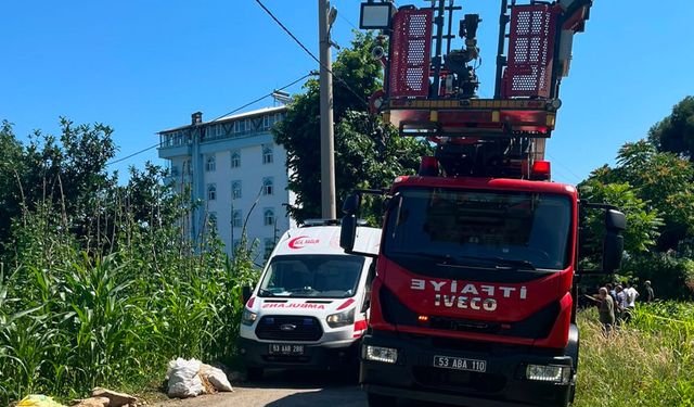 Rize'de ıhlamur toplamak isterken canından oldu
