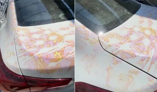 Sürücüler sakın bu hatayı yapmayın! Kaş yapayım derken göz çıkardı