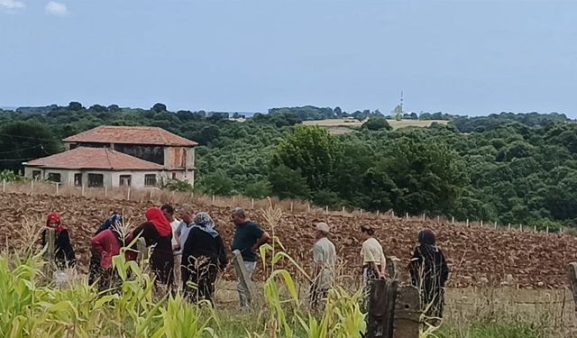 Samsun'da korkunç olay! Cesedi tarlada yanmış halde bulundu