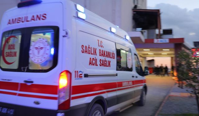 İlaçlanan ağaçtan topladığı kirazı yedi, hayatını kaybetti