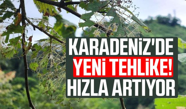 Karadeniz'de yeni tehlike! Hızla artıyor