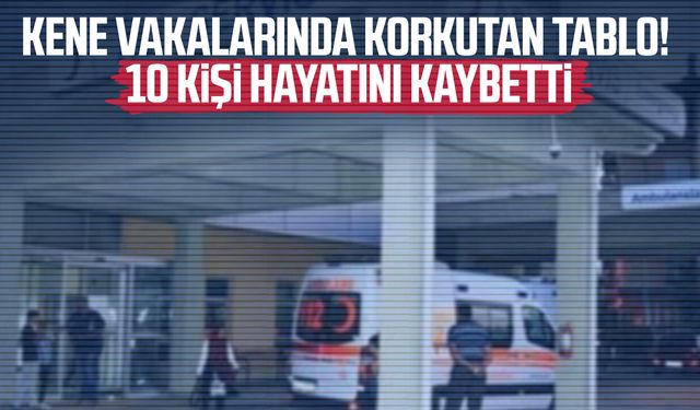 KKKA vakalarında korkutan tablo! 10 kişi hayatını kaybetti