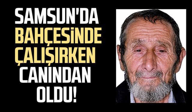 Samsun'da kestiği ağacın altında kalan Recep Saliç yaşamını yitirdi