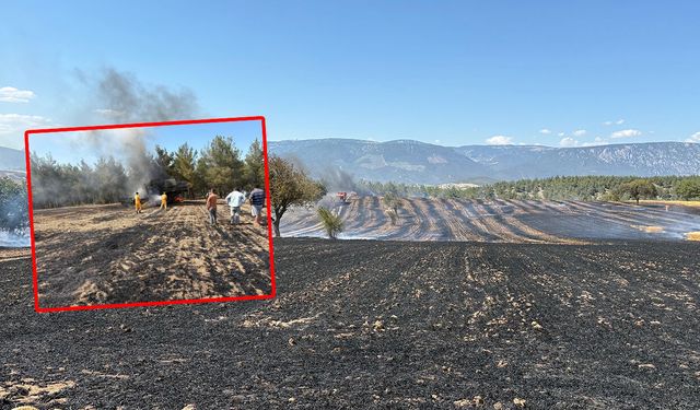 Samsun'da biçerdöver alev aldı: Hasat kabusa döndü!
