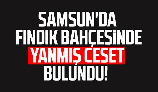 Samsun'da fındık bahçesinde yanmış ceset bulundu!