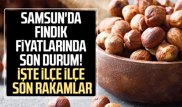 Samsun'da güncel fındık fiyatları 22 Temmuz Çarşamba